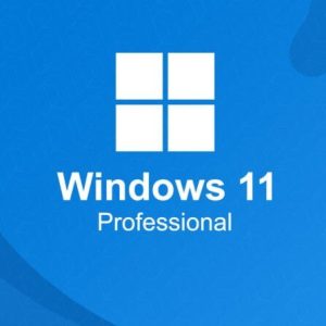 Windows 11 Professional License key
